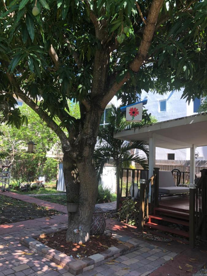 Cozy Room In The Heart Of Little Havana Miami Esterno foto